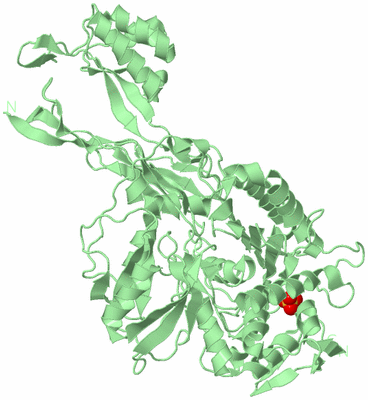 Image Biological Unit 2