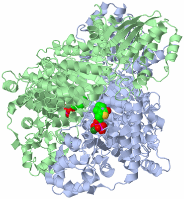 Image Asym./Biol. Unit