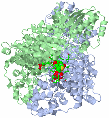 Image Asym./Biol. Unit - sites