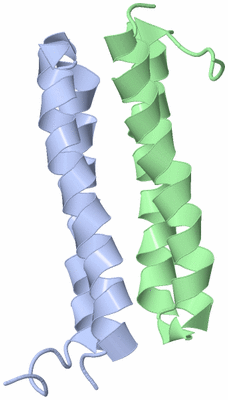 Image NMR Structure - model 1