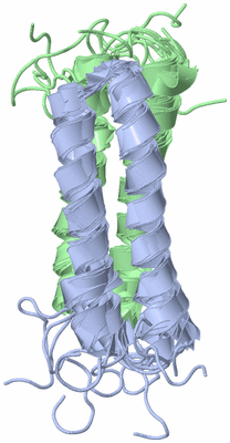 Image NMR Structure - all models