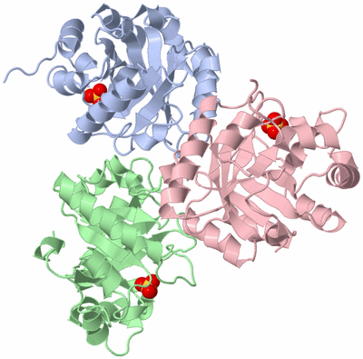 Image Asymmetric Unit