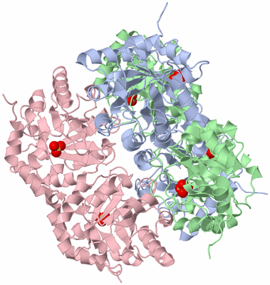 Image Biological Unit 1