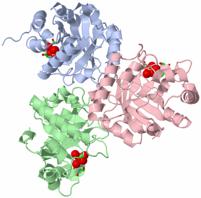 Image Asym. Unit - sites