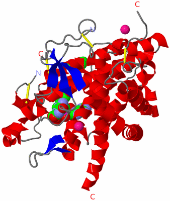 Image Asym./Biol. Unit