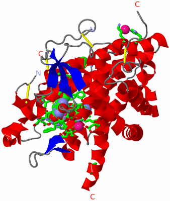 Image Asym./Biol. Unit - sites