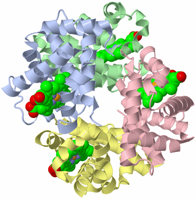 Image Asym./Biol. Unit