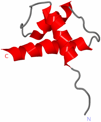 Image NMR Structure - model 1