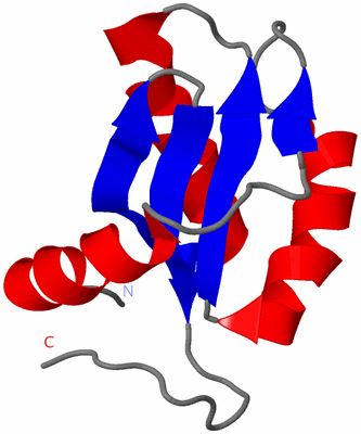 Image NMR Structure - model 1