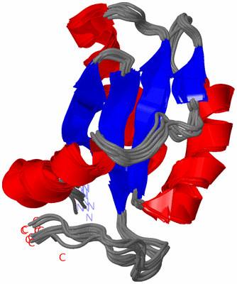 Image NMR Structure - all models