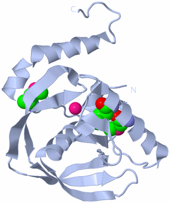 Image Biological Unit 1