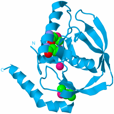 Image Biological Unit 10