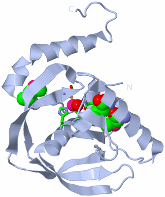 Image Biol. Unit 1 - sites