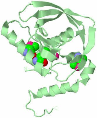 Image Biological Unit 2