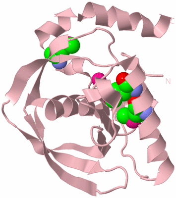 Image Biological Unit 3