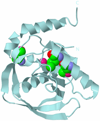 Image Biological Unit 6