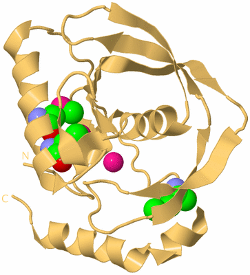 Image Biological Unit 7