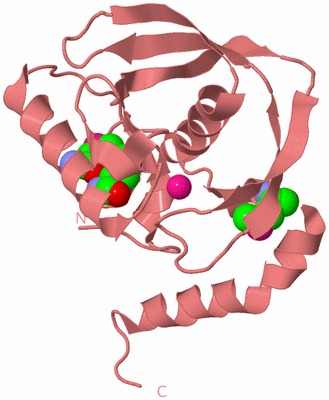 Image Biological Unit 8