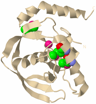 Image Biological Unit 9