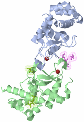 Image Biological Unit 1