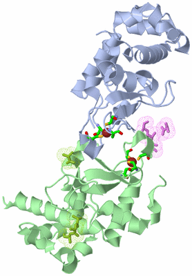 Image Biol. Unit 1 - sites