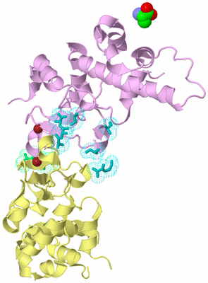 Image Biological Unit 2