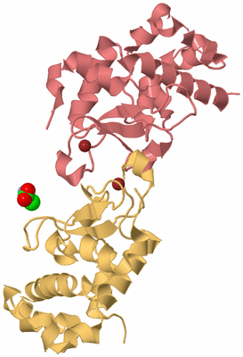 Image Biological Unit 3