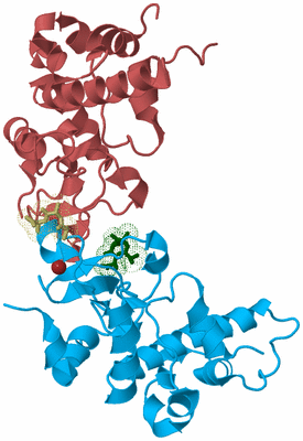 Image Biological Unit 4