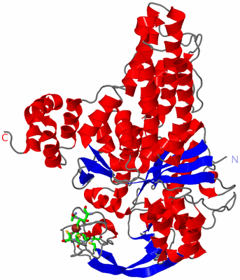 Image Asym. Unit - sites