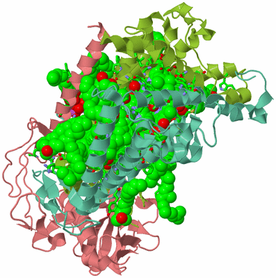 Image Asym./Biol. Unit - sites