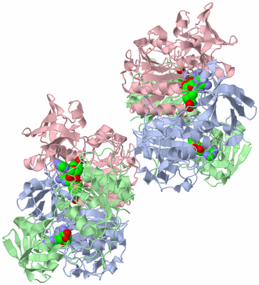 Image Biological Unit 1