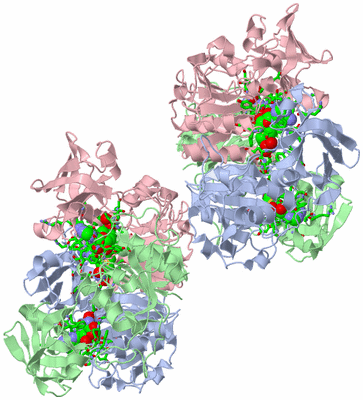 Image Biol. Unit 1 - sites