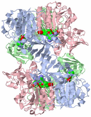 Image Biological Unit 2