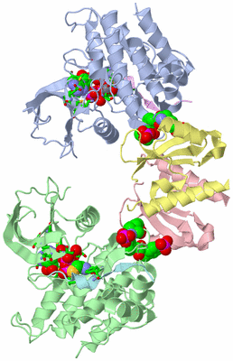 Image Asym./Biol. Unit - sites
