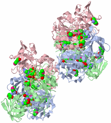 Image Biological Unit 1