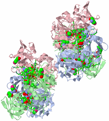 Image Biol. Unit 1 - sites