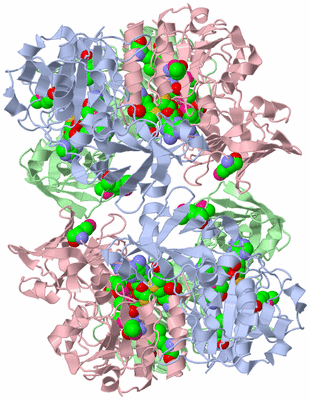 Image Biological Unit 2