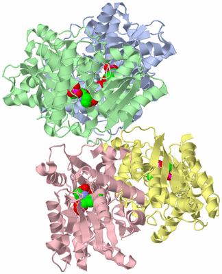 Image Asym./Biol. Unit