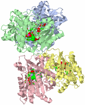 Image Asym./Biol. Unit - sites