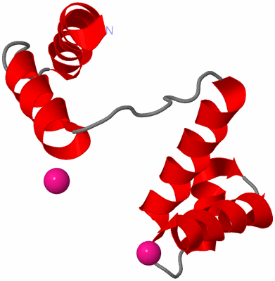 Image Asymmetric Unit