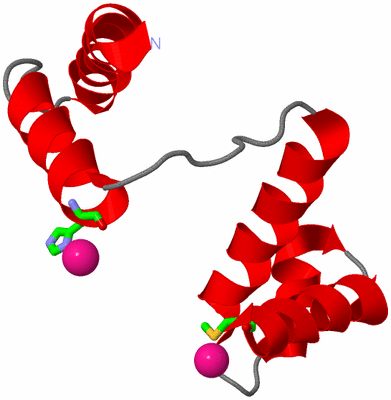 Image Asym. Unit - sites