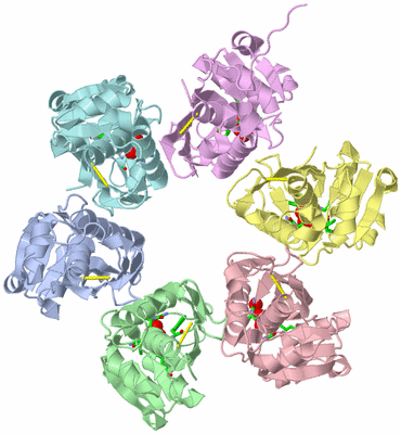 Image Asym./Biol. Unit - sites