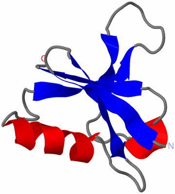 Image NMR Structure - model 1