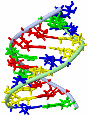 Image NMR Structure - model 1