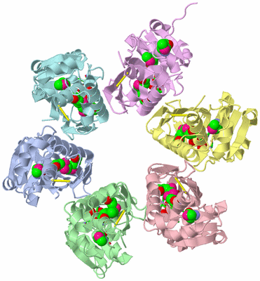 Image Asym./Biol. Unit - sites