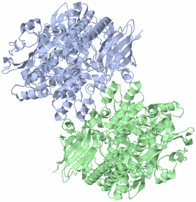 Image Asymmetric Unit