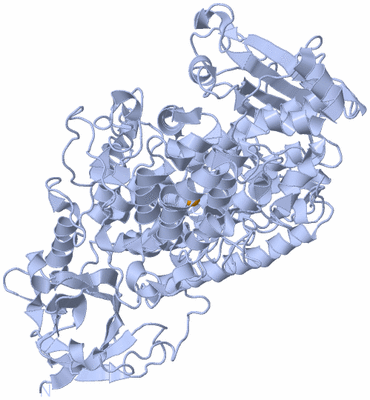 Image Biological Unit 1