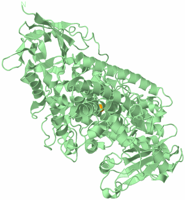 Image Biological Unit 2