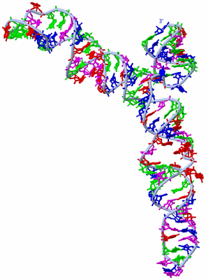 Image Theoretical Model