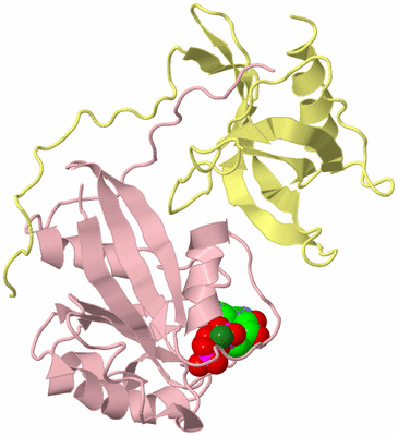 Image Biological Unit 2